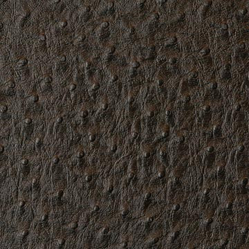 Emu Bark - Ostrich Upholstery Vinyl Fabric