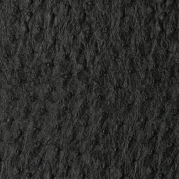Emu Ebony - Ostrich Upholstery Vinyl Fabric