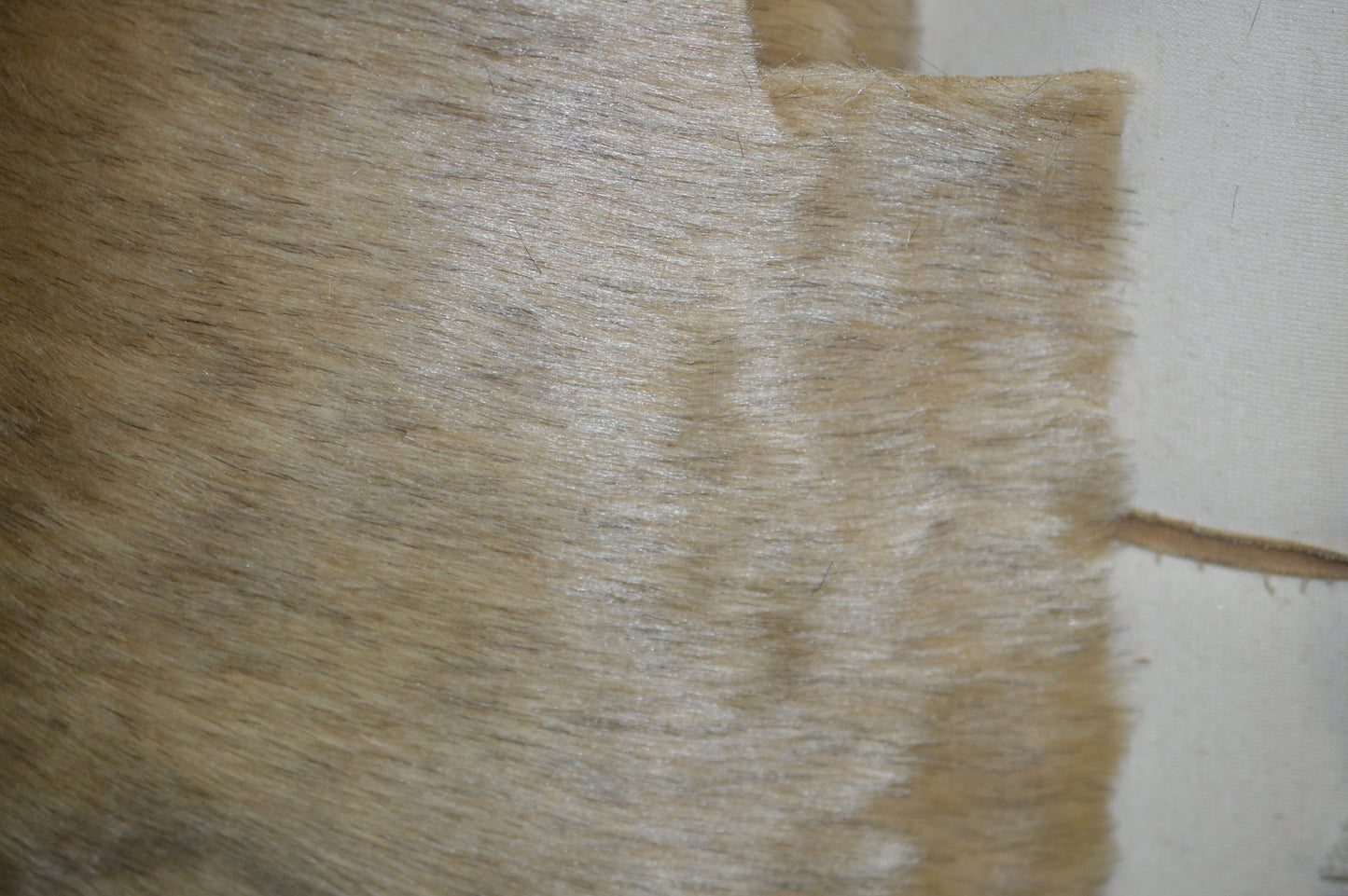 Long Hair Faux Fur Beige
