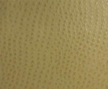 Symphony Phoenix Willow TPH-013 Fabric