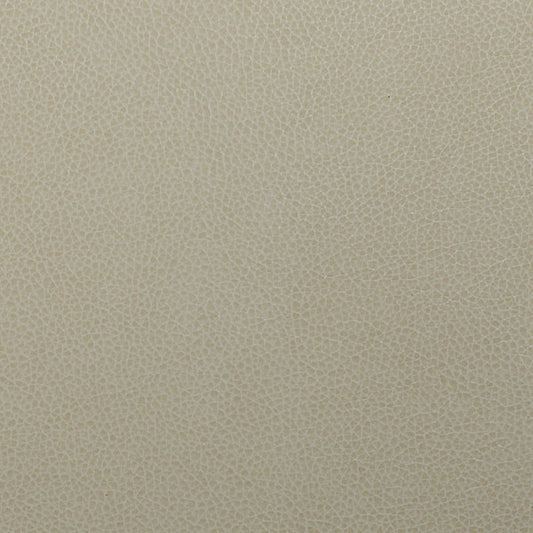 Alpaca Tolstoy WTL-001 Symphony Faux Leather Fabric