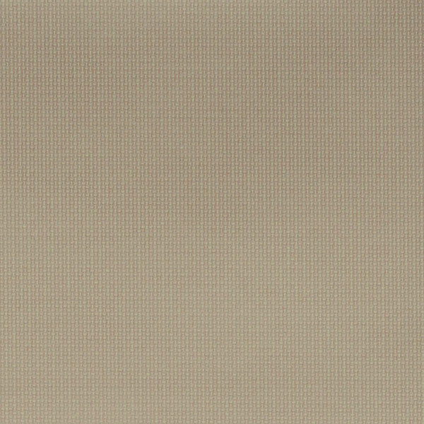 Cottonseed WHX009 Huxley Writer's Block Nassimi Symphony Faux Leather Fabric