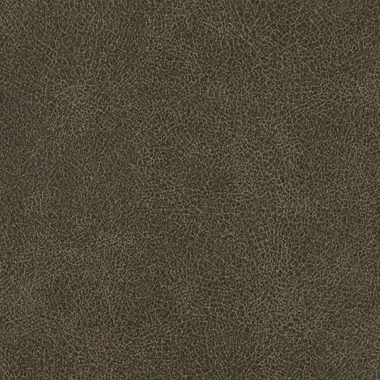 Driftwood EBA-003 Baron Nassimi Fabric