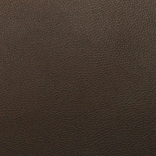 Earth WTL005 Tolstoy Nassimi Symphony Faux Leather Fabric