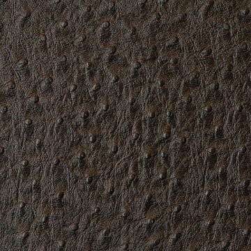 Emu Bark - Croco Upholstery Vinyl Fabric