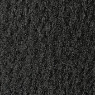 Emu Ebony - Ostrich Upholstery Vinyl Fabric
