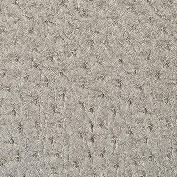 Emu Ice - Ostrich Upholstery Vinyl Fabric