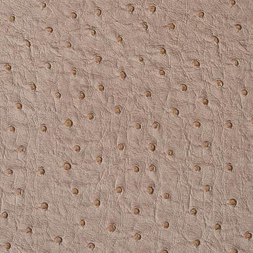 Emu Mocha - Ostrich Upholstery Vinyl Fabric