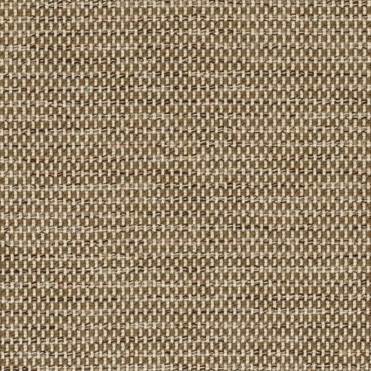 Sunbrella Elements Upholstery 54" Mainstreet Latte 42048-0009