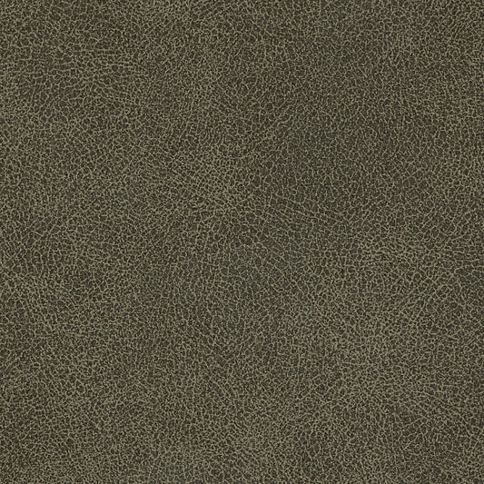 Manatee EBA-005 Baron Nassimi Fabric