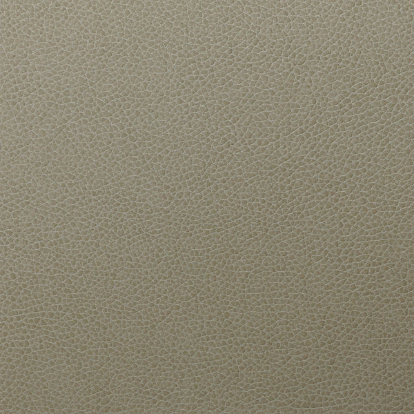 Parchment WTL011 Tolstoy Nassimi Symphony Faux Leather Fabric