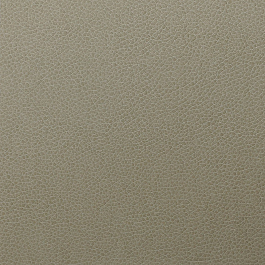 Parchment WTL011 Tolstoy Nassimi Symphony Faux Leather Fabric