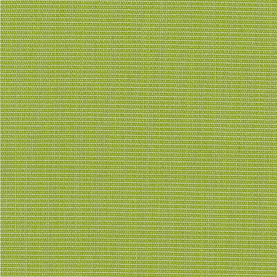 Pistachio 5490-0000 Sunbrella Canvas Fabric