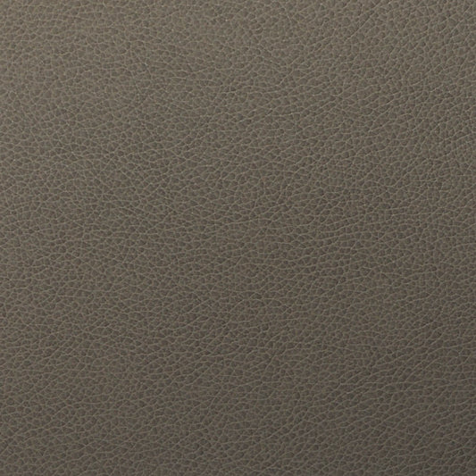 Quarry Tolstoy WTL-012 Symphony Faux Leather Fabric