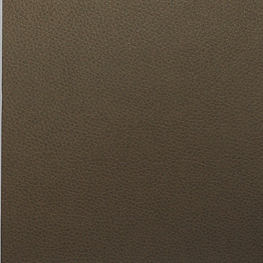 Ram WTL013 Tolstoy Nassimi Symphony Faux Leather Fabric