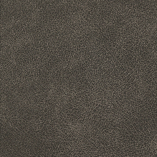 Tarmac EBA-007 Baron Nassimi Fabric