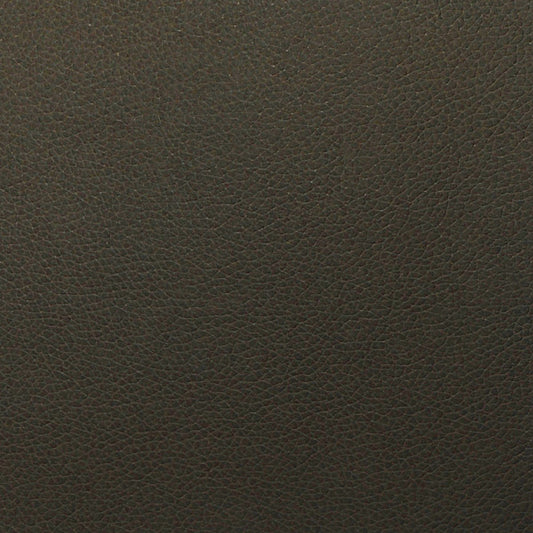 Timber Tolstoy WTL-016 Symphony Faux Leather Fabric