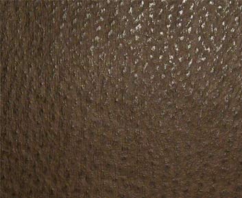 Symphony Phoenix Chocolate Chip TPH-004 Fabric