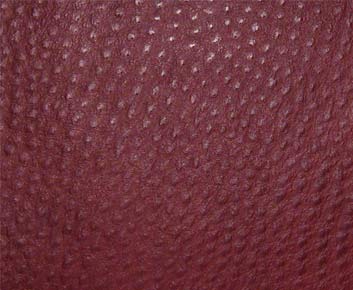 Symphony Phoenix Ruby TPH-011 Fabric