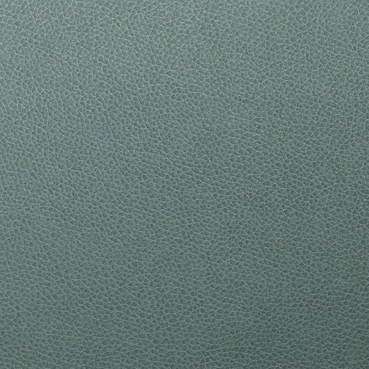 Vista WTL-017 Tolstoy Nassimi Symphony Faux Leather Fabric